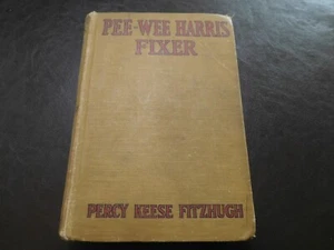 DY SCOUT FICTION BOOK 1924 PRINTING PEE WEE HARRIS FIXER FITZHUGH PUBLICATION !! - Picture 1 of 8