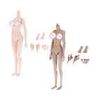Moveable 1:6 Female Body Skeleton Naked Large Bust Doll 12inch Woman Figure Toy