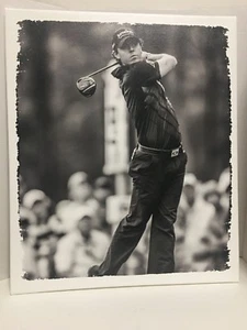 Steiner Sports Memorabilia Rory McIlroy Canvas Print Photo Poster Frame 22"x26" - Picture 1 of 7