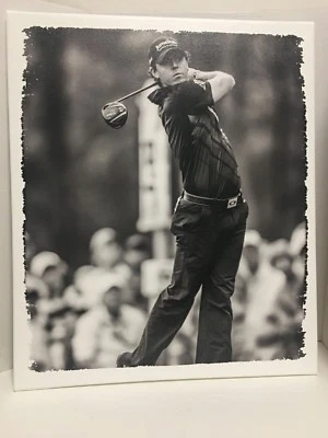 Steiner Sports сувениры Рори Макилрой холст печать фото плакат рамка 22 «x 26» - Изображение 1 из 4