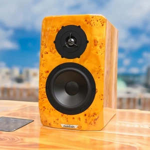MUSICIAN knight I (V2) 6.5 Inch Hifi Bookcase Speakers Audiophile Speaker - Picture 1 of 11