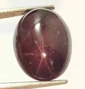 Rodolita natural (rojo cereza) granate cuatro rayos cabujón ovalado piedra preciosa suelta K22 - Imagen 1 de 15