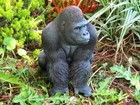 SILVERBACK GORILLA FIGURE, Life Like Home & Garden Ornament. Vivid Arts GRLA B