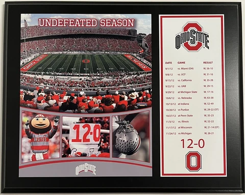 OHIO STATE BUCKEYES Stadium Photo Plaque By Fanatics Cover
