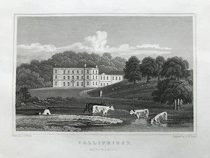 Impresión antigua de 1831; Casa del Colibrí, cerca de Tiverton, Devon después de Neale - Imagen 1 de 2