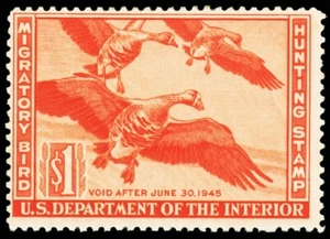United States Hunting Permit Stamp Scott RW11 (1944) Mint H F-VF, CV $45.00 C - Picture 1 of 1