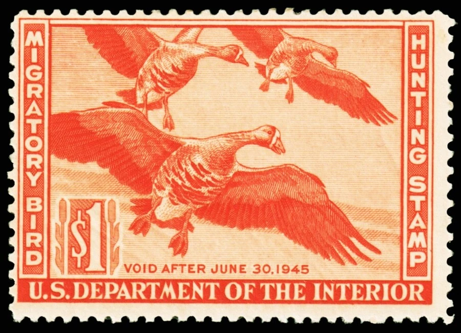 United States Hunting Permit Stamp Scott RW11 (1944) Mint H F-VF, CV $45.00 C - Image 1 of 1