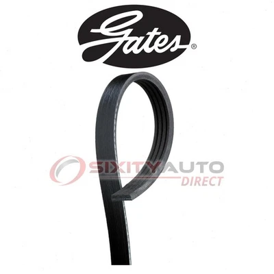 Gates Serpentine Belt for 2011-2014 Honda CR-Z 1.5L L4 - Accessory Drive lt - Image 1 of 4