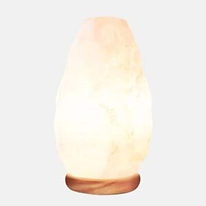 Himalayan Glow White Salt Crystal Lamp,Natural Salt Night Light,Hand Crafted  