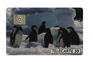 TELECARTE PRIVEE D581 50 UNITES 02/91 SC4ab 1000 EX PINGOUINS NEUVE - Picture 1 of 1