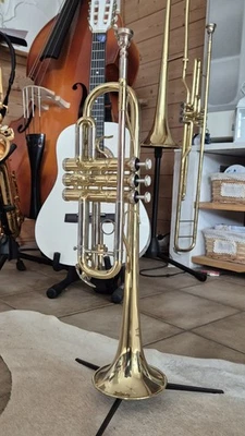 Lackierte C-Trompete mit Mundrohr und Schallstück aus Goldmessing inkl. Koffer - Bild 1 von 4