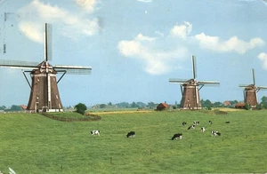Leidschendam Holland Molinos de viento Molinos de bombeo Vacas en campo 1973 Postal - Imagen 1 de 2