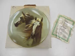 GBS American Artists 'The Andalusian' di Fred Stone piatto cavallo da collezione - Foto 1 di 8