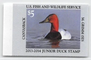 JDS21 - Junior Federal Duck Stamp. Single. MNH. OG. - Picture 1 of 2