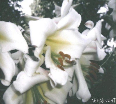 Sehnsucht Wuste (CD) - Image 1 of 2