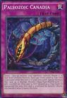 Yugioh Cards | Single Individual Cards | ARCHETYPES