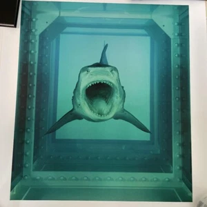 Damien Hirst Poster Shark - Picture 1 of 4