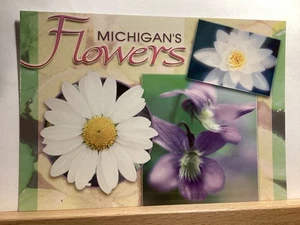 Ochsenaugen-Gänseblümchen, blauveilchen & Seerose: Blumen von Michigan - Vintage Postkarte - Bild 1 von 3
