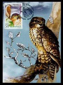 2007 Bird of Prey,the Sparrow Hawk,Accipiter nisus,Raubvögel,FDC Maxi card - Picture 1 of 1