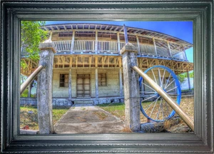 Costa Rica Art Title: " The Blues"  - Picture 1 of 2