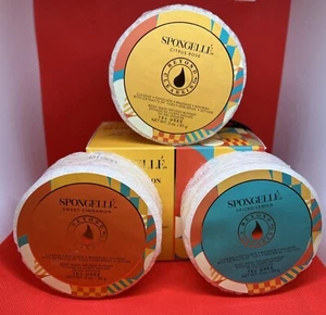 Spongelle SWEET CINNAMON * CITRUS ROSE* SPICED LEMON Trio (3) Buffers Sponge - Picture 1 of 5