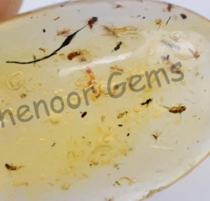 14,90 ct 100 % natürlicher gelber Bernstein Insekteneinschluss zertifiziert loser Edelstein - Bild 1 von 8