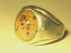 Anello Vintage Art Deco Argento Sterling Vargas Muschio Agata Sigillo Misura 8,5 Multicolore - Foto 1 di 7