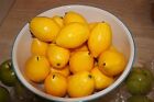 Brand NEW Artificial Lemons for Decoration - Set of 12 - GREAT TABLEWARE