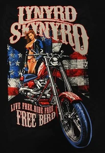 Lynyrd Skynyrd Iron On Transfer For T-Shirt & Other Light Color Fabrics #1 - Picture 1 of 4