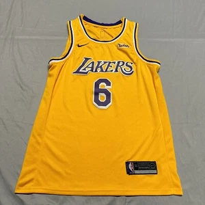 LA Lakers Jersey Lebron James # 6 Nike Wish NBA Swingman Jersey Sz 50 - Picture 1 of 15