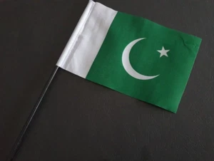 PAKISTAN PAKISTANI Hand Wave Flag - 30x45cm - Picture 1 of 1