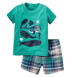 Toddler Boy Cotton Summer Short Sleeve T-Shirt and Short Set - Picture 1 of 4