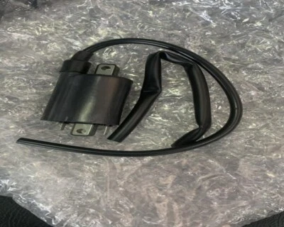 BRP Can-Am Off-Road 420265414 ENCENDIDO BOBINA Foto 1 de 4