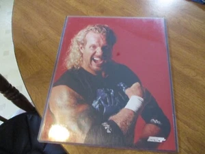 DIAMANT DALLAS SEITE 8X19 FOTO - Bild 1 von 1