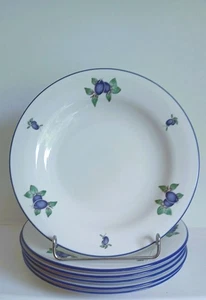 6 ROYAL DOULTON EVERYDAY BLUEBERRY 8 INCH SALAD / SIDE PLATES - Picture 1 of 3