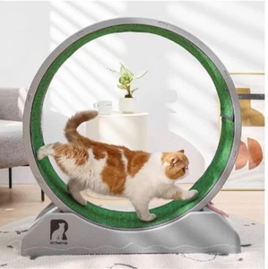 Haustier Heimtrainer Indoor Katze Laufband mit Teppich Landebahn für Haustier Übung - Bild 1 von 8