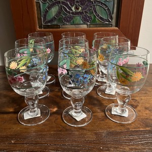 9 Hand Painted Dansk Cape Floral Wine Glasses Unused