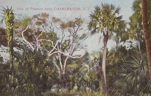 Charleston, SOUTH CAROLINA - Isle of Palmes - Picture 1 of 2