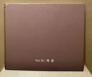 Hai Bo 2006 Max Protetch Gallery New York Hardcover Chinese Photography - Picture 1 of 9
