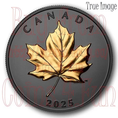 2025 Elegant Maple Leaf#2 Gilded $20 Pure Silver Rhodium/Gold Plated Coin Canada - Image 1 of 4