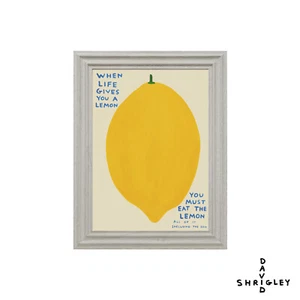 SHRIGLEY LEMON CANVAS ON BOARD POSTER STYLE FUN PRINT PICTURE FRAMED ART - Picture 1 of 5