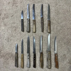 LOT OF 12 MADE IN JAPAN Stainless Dinner / Steak & Paring Knives w/ Wood Handles - Picture 1 of 24