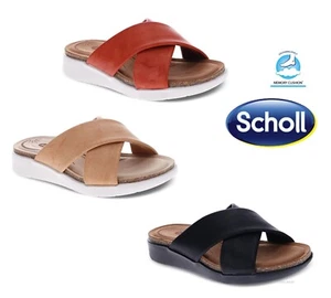 Scholl ORTHAHEEL Women's Tessa Slide Sandal Thong - Picture 1 of 17
