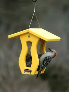 Tettle morena pequeña pantalla curva reciclada alimentador para pájaros girasol maní - Imagen 1 de 8