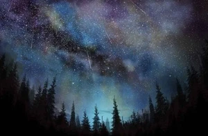 Home Art Wall Decor sky stars meteors night trees Oil Painting Printed On Canvas - Picture 1 of 2