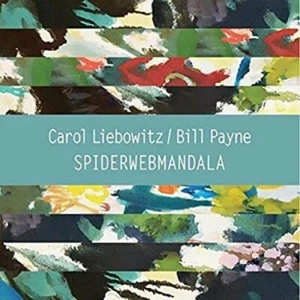 CD: CAROL LIEBOWITZ / BILL PAYNE Spiderwebmandala NM Digipak spider web mandala - Imagen 1 de 1