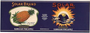 *Original SOLARMARKE Astronomie SONNENFINSTERNISSE Ananas 1920er Dose Etikett KEINE KOPIE - Bild 1 von 3