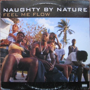 Naughty By Nature - Feel Me Flow / Hang Out And Hustle (12", Single) - Bild 1 von 1