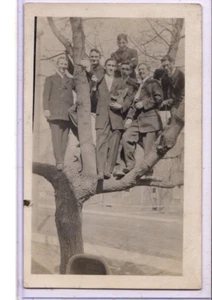 Real Photo Postcard RPPC - Seven Men with Teddy Bear in Tree - Male Camaraderie - Picture 1 of 2