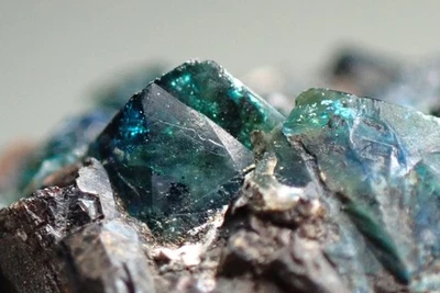 LAZULITE * CRISTALLI BLU SU MATRICE! Rapid Creek, Yukon, CANADA - Immagine 1 di 4